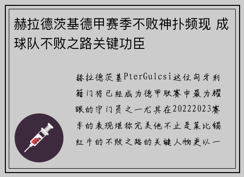 赫拉德茨基德甲赛季不败神扑频现 成球队不败之路关键功臣